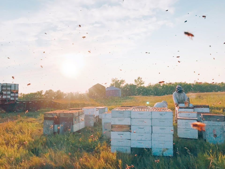 bulk florida honey for sale