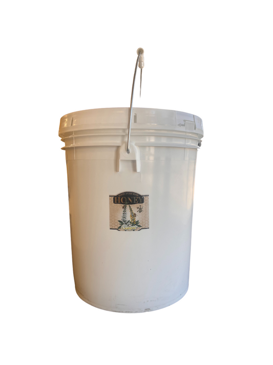 bulk clover honey