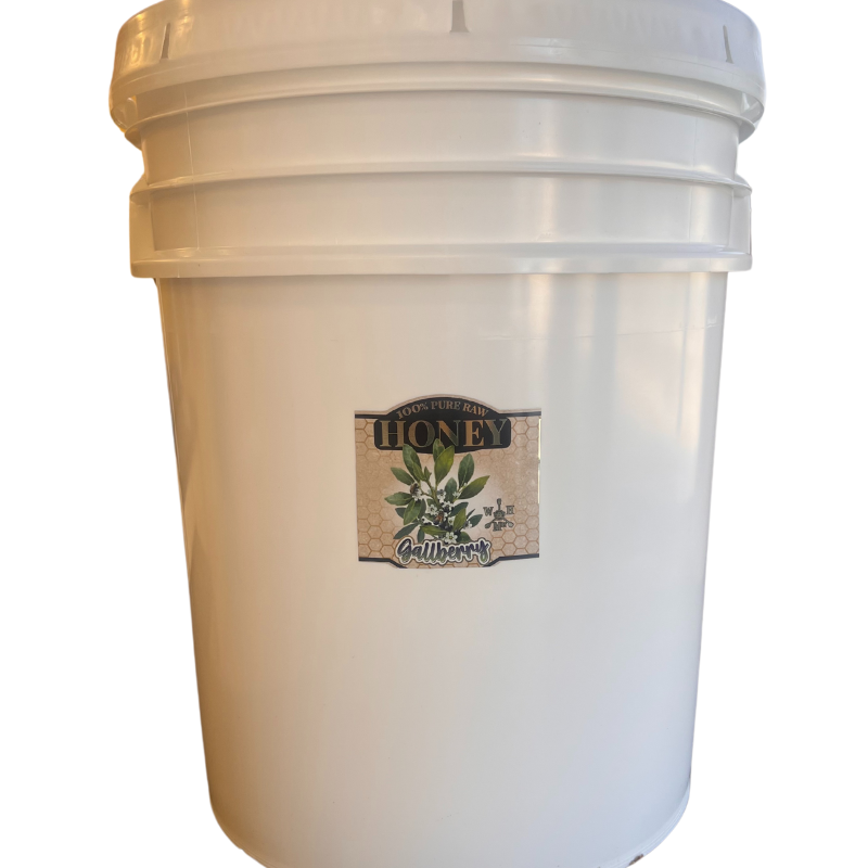 Bulk Gallberry Honey