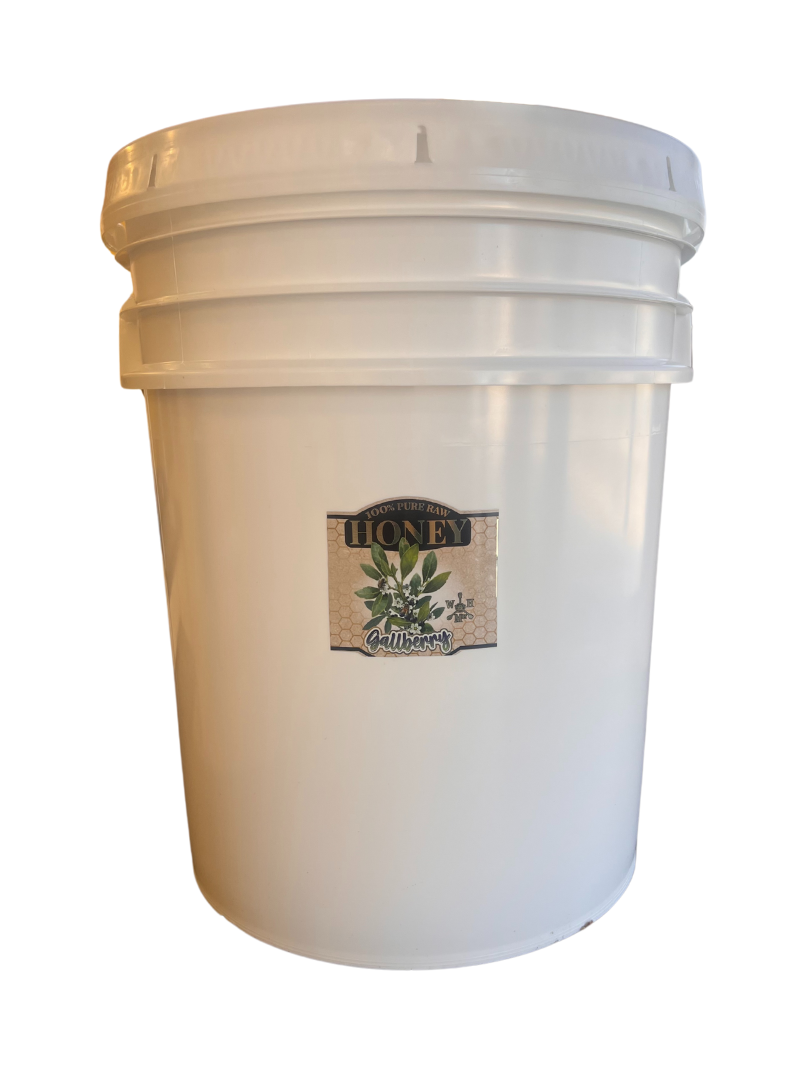 local florida honey