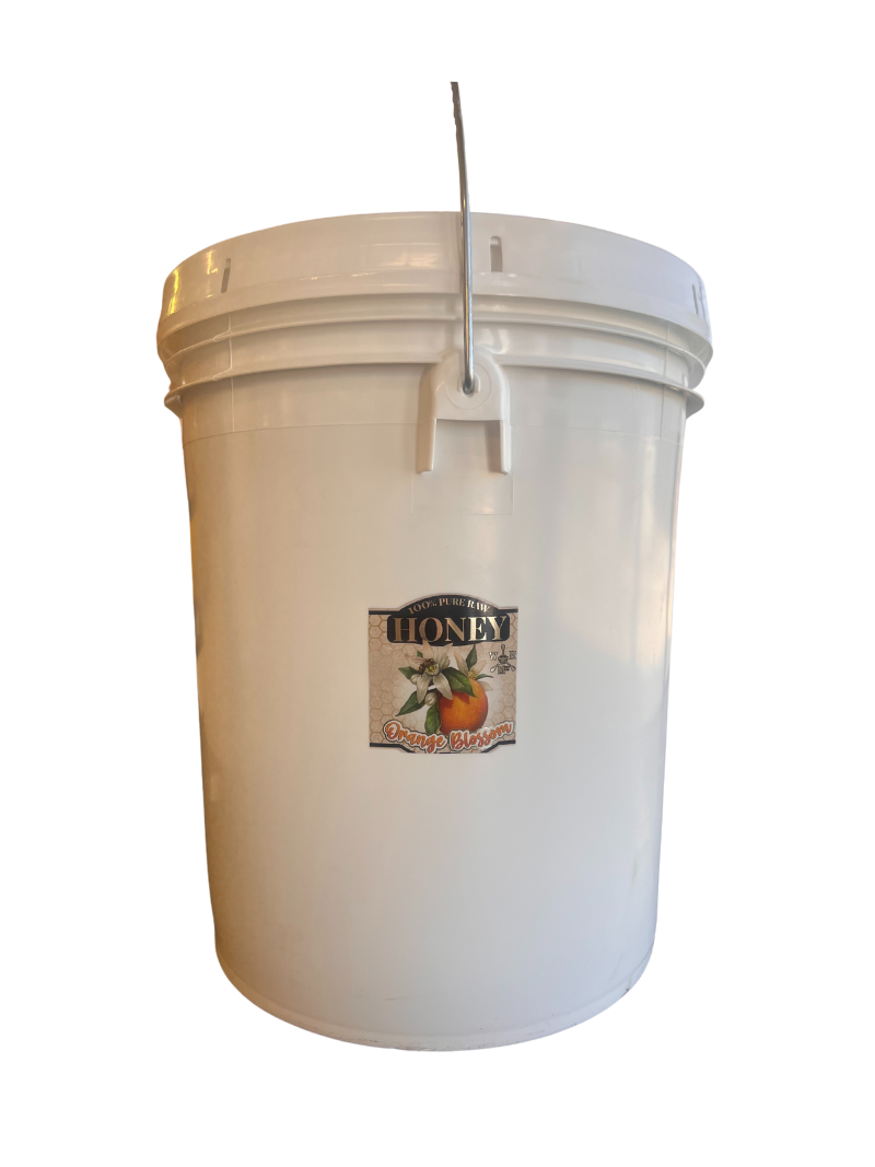 raw orange blossom honey